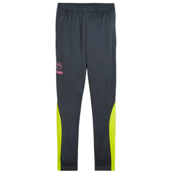 Спортивные брюки для мужчин Puma King Pro Training Pants Strong L/ Серый photo 1 Спортивные брюки для мужчин Puma King Pro Training Pants Strong L/ Серый photo 1