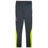 Спортивные брюки для мужчин Puma King Pro Training Pants Strong M/ Серый