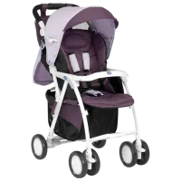 Детская коляска Chicco Simplicity Top 79138.14/ Пурпурный