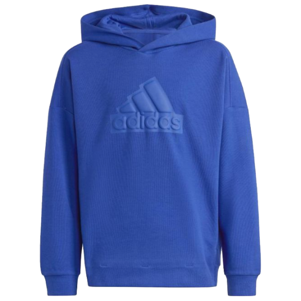 Толстовка для мальчиков Adidas Fi Logo Hd blue Синий photo 1
