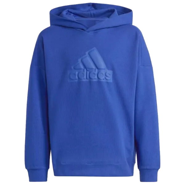 Hanorac pentru băieți Adidas Fi Logo Hd blue Blue photo 1 Hanorac pentru băieți Adidas Fi Logo Hd blue Blue photo 1