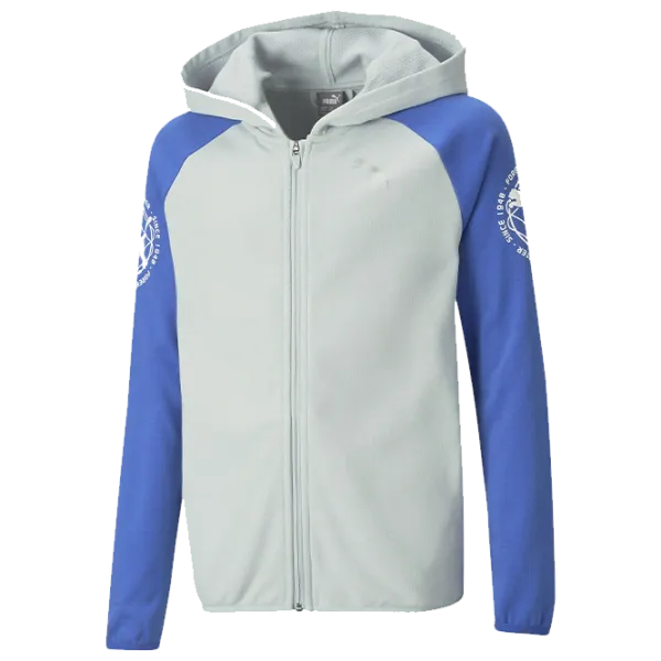 Толстовка для мальчиков Puma Active Sports Full-Zip Hoodie Tr B Plati Platinum Серый photo 1