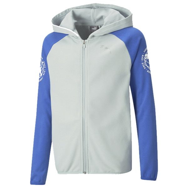 Толстовка для мальчиков Puma Active Sports Full-Zip Hoodie Tr B Plati Platinum Серый photo 1