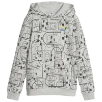 Толстовка для мальчиков Puma Classics Ftr Baller Hoodie Fl B Ash Серый
