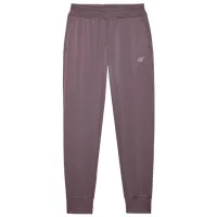 Pantaloni sportivi pentru femei 4F 4FWSS24TFTRF454-82S S/ Brown