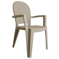 Scaun de grădină Sanja Avala ratan Plastic/ Plastic/ Beige