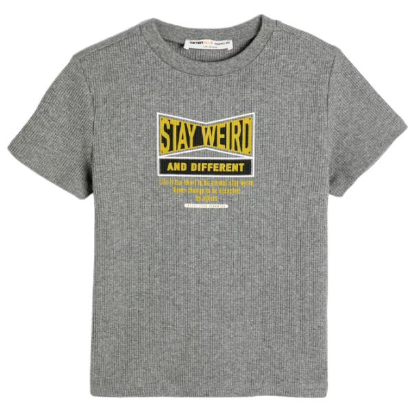 Tricou pentru băieți Koton 4SKB10602TK 116 / Anthracite photo 1