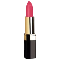 Ruj de buze Golden Rose gr02-01-134 Stick/ Barbie Pink