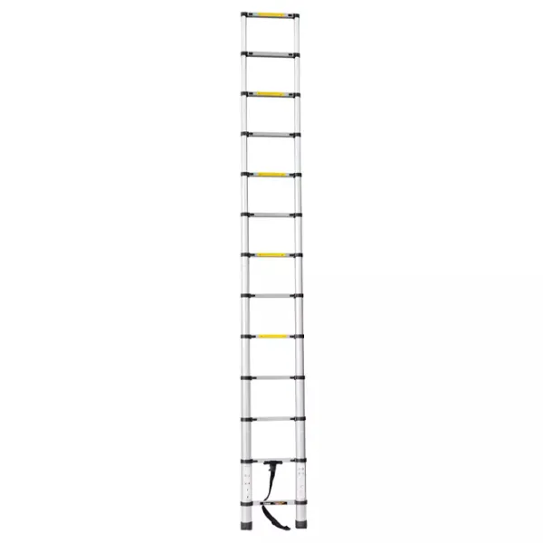 Scară extensibilă Hoteche 480006 1x14 150 kg photo 1