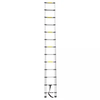 Scară extensibilă Hoteche 480006 1x14 150 kg