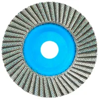 Шлифовальный круг BIHUI DPF060 