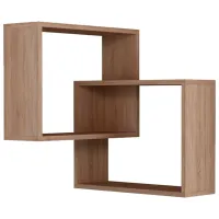 Raft Showdeko Ring Bookcase PAL/ Oak