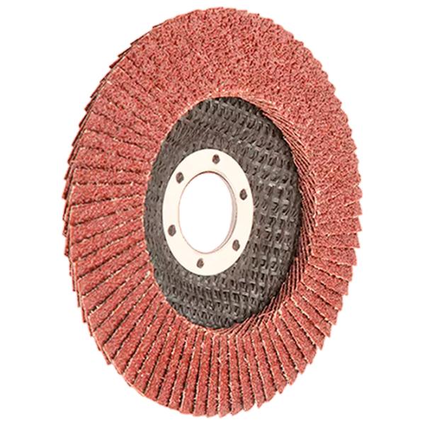 Диск лепестковый Wokin 775112  photo 1