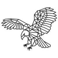 Puzzle 2D Ewa Toys Vulture 14+/ Numărul de piese: 287