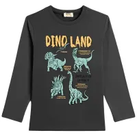 Hanorac pentru băieți Koton ANTRACITE Gray