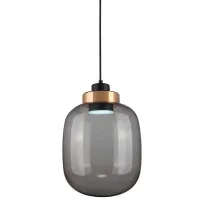 Plafonieră Elmos DD-LG-0618