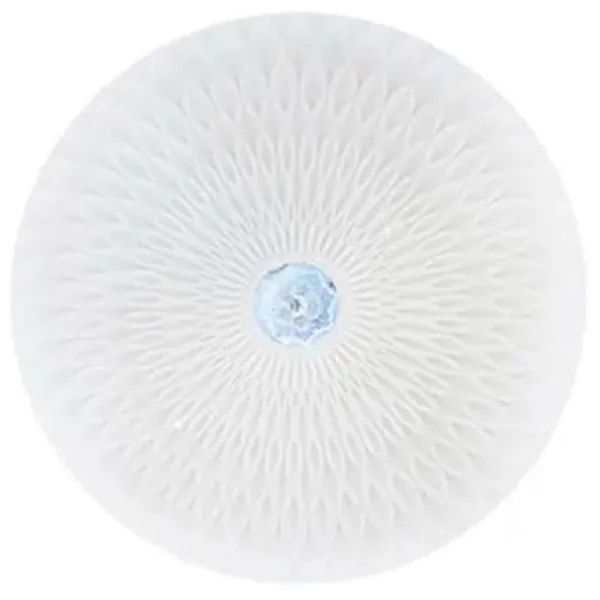 Plafonieră Horoz RADIUS-48 Plastic photo 1