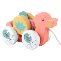 Игрушка каталка Noriel INT4586 1.5+/ Разноцветный