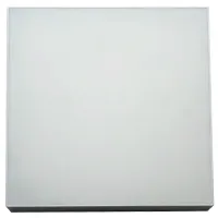 Plafonieră Trio SNFAP3040 Plastic