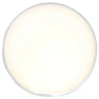 Plafonieră Elmos CE10301640 