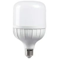 Лампочка светодиодная Milanlux T94 MLNT3065 E27/ 30 Вт/ 6500 К/ 2700лм/ White