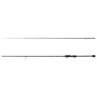 Lansetă Delphin BLACK CODE C.I.T. Carp/ 2