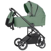Детская коляска Carrello Alfa 2 in 1 2024 Зелёный