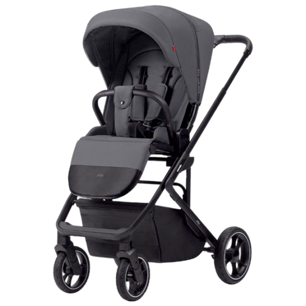 Cărucior pentru copil Carrello Alfa 2 in 1 2024 Gray photo 1 Cărucior pentru copil Carrello Alfa 2 in 1 2024 Gray photo 1