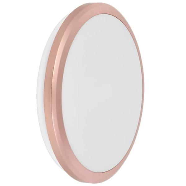 Plafonieră IEK LDPB0-3205-24-4000-K01 230 mm/ Polipropilenă photo 1 Plafonieră IEK LDPB0-3205-24-4000-K01 230 mm/ Polipropilenă photo 1