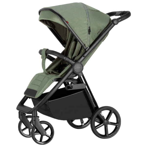 Cărucior pentru copil Carrello Bravo SL Green photo 1