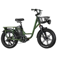 Электровелосипед FIIDO T1 Pro 20" Зелёный