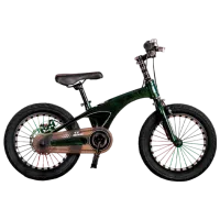 Велосипед TyBike BK-08 20" 20" Магниевый сплав/ Green Черный