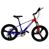 Велосипед TyBike BK-7 20" 20" Магниевый сплав/ Красный Синий