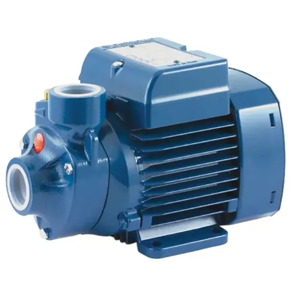 Pompă de suprăfață Pedrollo PK 65 700 W 3000 l/ h photo 1