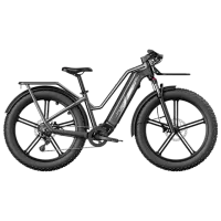 Электровелосипед FIIDO M25 26" Черный