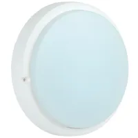 Plafonieră IEK LDPO0-4006-12-6500-K01 160 mm/ Plastic