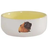 Миска для животных Beeztees 801641 Керамика