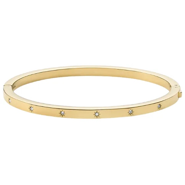 Brățară pentru femei FOSSIL JF03872710 Inox/ Gold photo 1 Brățară pentru femei FOSSIL JF03872710 Inox/ Gold photo 1