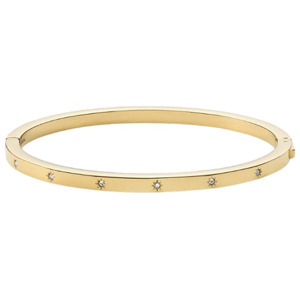 Brățară pentru femei FOSSIL JF03872710 Inox/ Gold photo 1 Brățară pentru femei FOSSIL JF03872710 Inox/ Gold photo 1