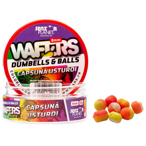 Boilies Senzor Planet Wafters Dumbells Garlic/ 0.03 kg/ 8 mm photo 1 Boilies Senzor Planet Wafters Dumbells Garlic/ 0.03 kg/ 8 mm photo 1