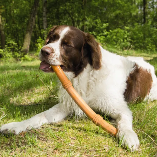 Băț pentru câine Beeztees Sumo Fit Stick  photo 2