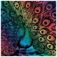 Креативный набор Sequin Art Artfoil Rainbow Peacock SQ0543 8+/ Разноцветный Разноцветный photo 2
