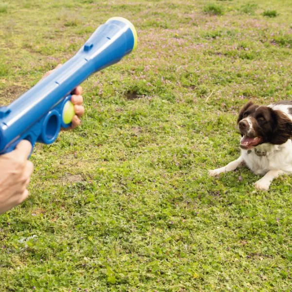 Метатель для мяча для собаки Beeztees 625070  photo 3