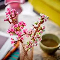 Constructor LEGO Cherry Blossoms Clasic/ Multicolor photo 4