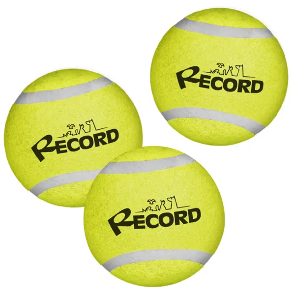 Мяч для собаки Record Tennis Fun  photo 2 Мяч для собаки Record Tennis Fun  photo 2