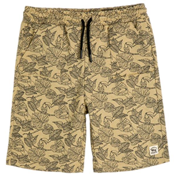 Шорты для мальчиков Koton 4SKB40119TK Зелёный photo 1