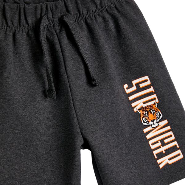 Шорты для мальчиков Koton 4SKB40205TK Серый photo 3