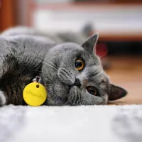 Смарт трекер Chipolo ONE Spot 4pack Черный photo 6