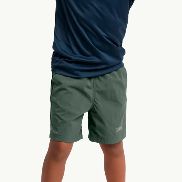 Шорты для мальчиков Jack Wolfskin Desert Shorts K 140/ Серый photo 3