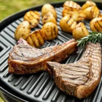 Сковорода для кемпинга Cadac Reversible Grill 36 см photo 3